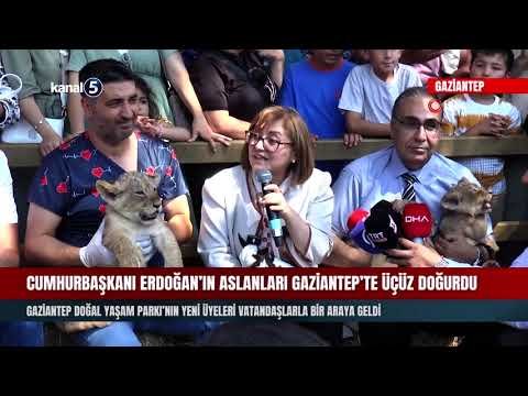 Cumhurbaşkanı Erdoğan’ın Aslanları Gaziantep’te Üçüz Doğurdu