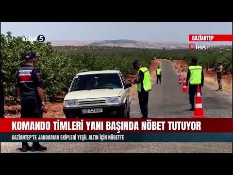 Gaziantep’te Jandarma Ekipleri Yeşil Altın İçin Nöbette
