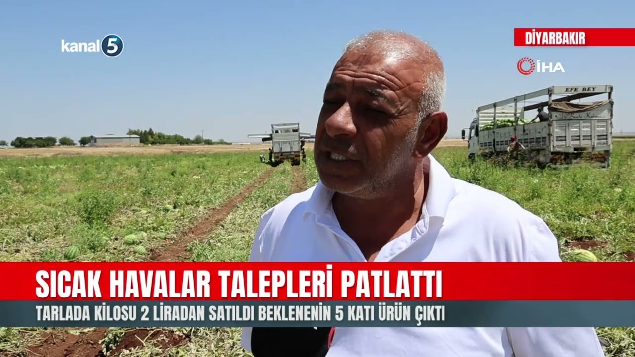 Sıcak Havalar Talepleri Patlattı | Tarlada Kilosu 2 Liradan Satıldı | Beklenenin 5 Katı Ürün Çıktı