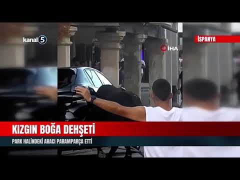 Kızgın Boğa Dehşeti | Park Halindeki Aracı Paramparça Etti