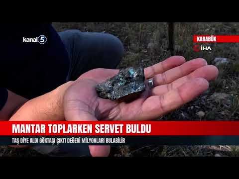Mantar Toplarken Servet Buldu | Taş Diye Aldı Göktaşı Çıktı Değeri Milyonları Bulabilir