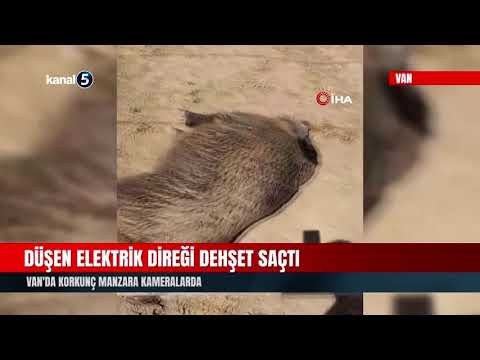 Düşen Elektrik Direği Dehşet Saçtı | Van’da Korkunç Manzara Kameralarda