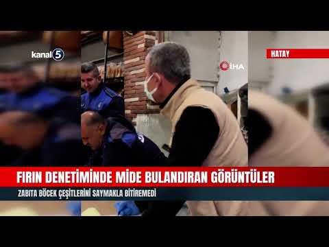 Fırın Denetiminde Mide Bulandıran Görüntüler | Zabıta Böcek Çeşitlerini Saymakla Bitiremedi