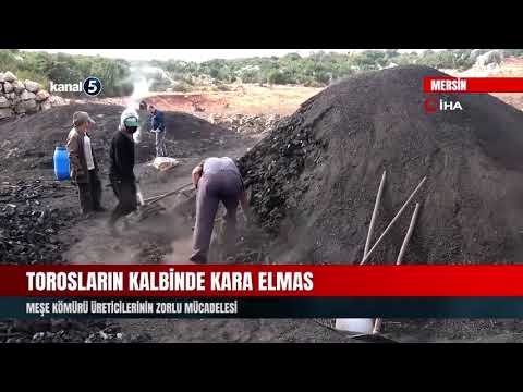 Torosların Kalbinde Kara Elmas | Meşe Kömürü Üreticilerinin Zorlu Mücadelesi