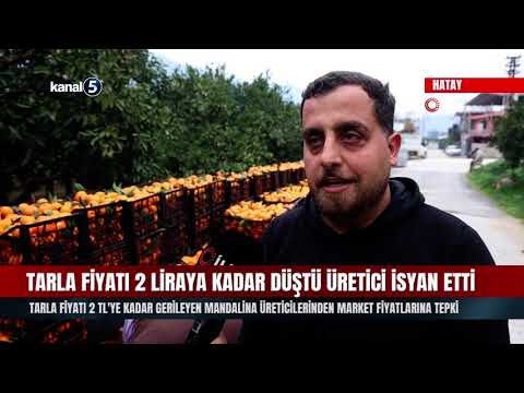 Tarla Fiyatı 2 Liraya Kadar Düştü Üretici İsyan Etti
