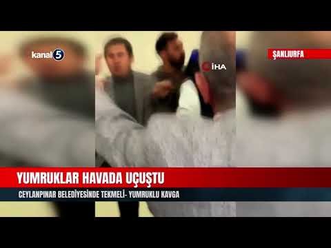 Yumruklar Havada Uçuştu | Ceylanpınar Belediyesinde Tekmeli- Yumruklu Kavga