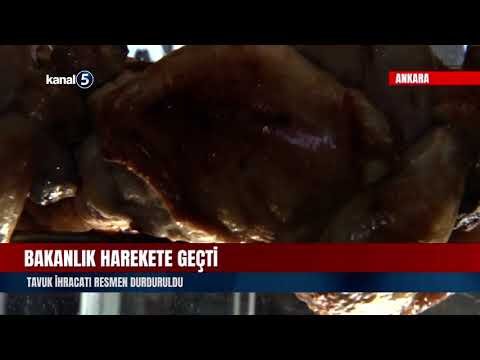 Bakanlık Harekete Geçti | Tavuk İhracatı Resmen Durduruldu