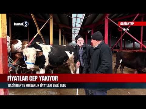 Fiyatlar Cep Yakıyor | Gaziantep’te Kurbanlık Fiyatları Belli Oldu