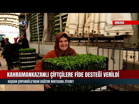 Kahramankazanlı Çiftçilere Fide Desteği Verildi