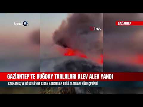 Gaziantep’te Buğday Tarlaları Alev Alev Yandı